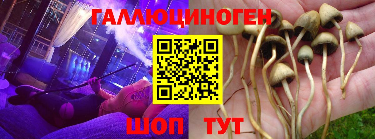 Псилоцибиновые грибы MAGIC MUSHROOMS  Псилоцибиновые грибы мухоморы  Вход с VPN  Ангарск 